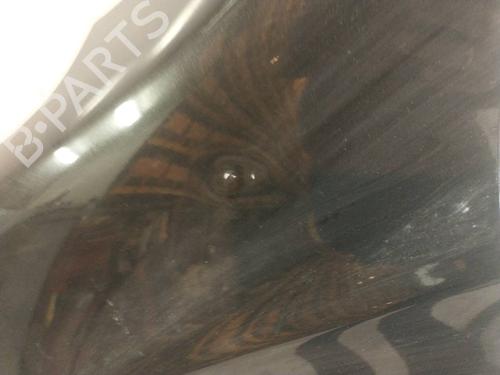 Left front fenders NISSAN QASHQAI / QASHQAI +2 I (J10, NJ10, JJ10E)  | BP22425912C41 