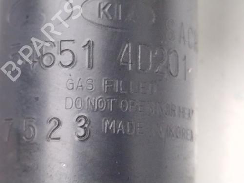 Left front shock absorber KIA CARNIVAL I (UP, FL) | BP32268791M16