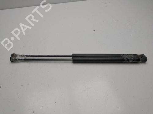Tailgate lift support CITROËN C4 Picasso I MPV (UD_) 2.0 HDi 138 | BP21361052C138 