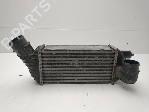 Intercooler PEUGEOT 5008 (0U_, 0E_) 2.0 HDi | BP25440690M30 
