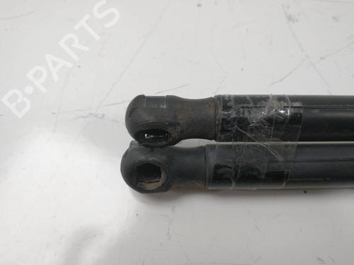 Tailgate lift support FORD FIESTA V (JH_, JD_) 1.4 16V | BP14157345C138 