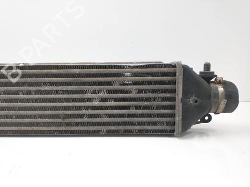 Intercooler FIAT DOBLO Cargo (263_)  | BP8619941M30 