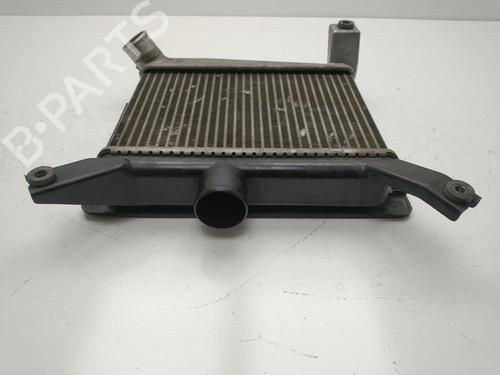 Intercooler TOYOTA RAV 4 II (_A2_) 2.0 D 4WD (CLA20_, CLA21_, CLA20R, CLA21R) | BP32439113M30