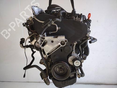 Engine VW GOLF VII (5G1, BQ1, BE1, BE2)  | BP20649903M1 