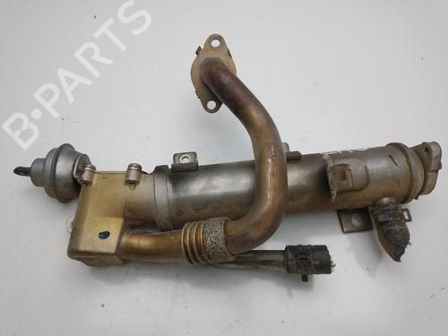 Egr AUDI A4 B8 (8K2) | BP32342559M69