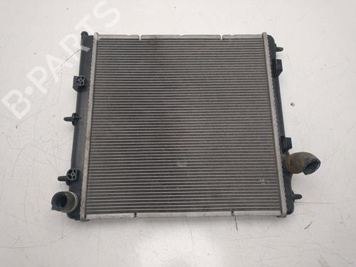 Used Water radiator Water radiator PEUGEOT 207 (WA_, WC_) [2006-2015] 36432433 36432433