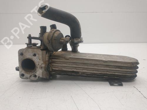 Egr SEAT TOLEDO III (5P2)  | BP36262635M69  - Image 7