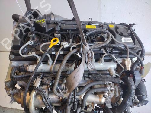 Used Engine Engine NISSAN TERRANO II (R20) [1992-2007] 19119561 19119561