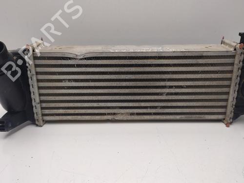 Intercooler Intercooler RENAULT KANGOO / GRAND KANGOO II (KW0/1_) 1.5 dCi 110 (KW06, KW12) (110 hp) 34286549 34286549