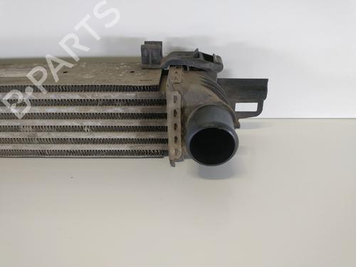 Intercooler FIAT FIORINO Box Body/MPV (225_) 1.3 D Multijet (225BXD1A, 225BXB1A, 225BXB11) | BP7506971M30 