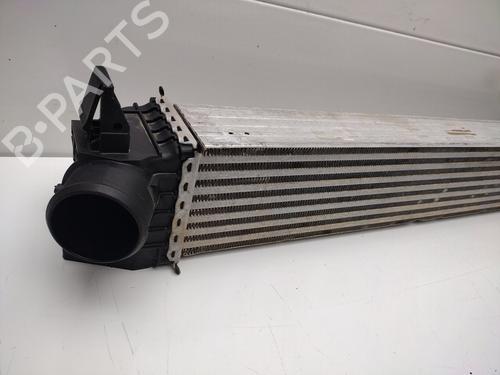Intercooler CITROËN JUMPER II Van  | BP24922900M30 