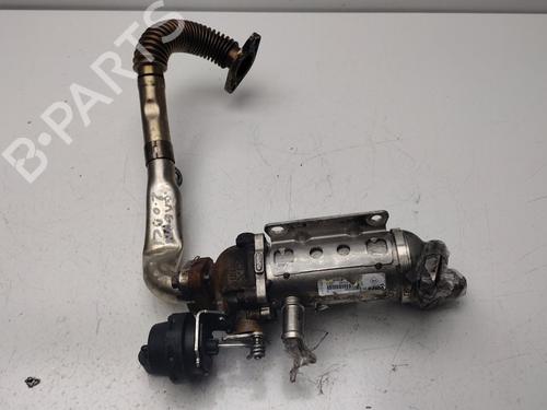 Egr für Egr RENAULT LAGUNA II (BG0/1_) [2001-2007] 36021036 36021036