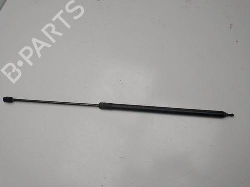 Used Hood lift support RENAULT MEGANE III Hatchback (BZ0/1_, B3_) [2008-2025]  21385847
