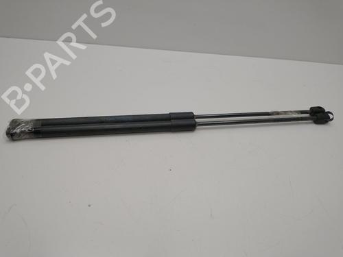 Tailgate lift support SEAT IBIZA IV ST (6J8, 6P8)  | BP24922892C138 