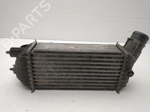 Intercooler PEUGEOT 5008 (0U_, 0E_) 2.0 HDi | BP25440690M30 