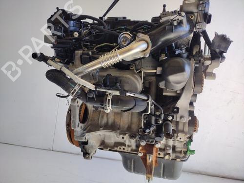 Engine FORD FIESTA VI (CB1, CCN)  | BP24649922M1 