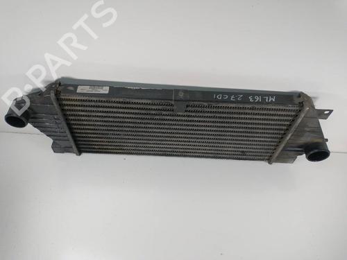 Intercooler MERCEDES-BENZ M-CLASS (W163) ML 270 CDI (163.113) | BP18137637M30 