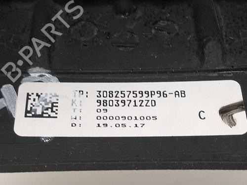 Rat CITROËN C4 II (NC_) | BP33852819C49 - Image 2