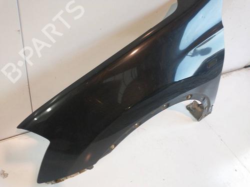 Left front fenders NISSAN QASHQAI / QASHQAI +2 I (J10, NJ10, JJ10E)  | BP22425912C41 