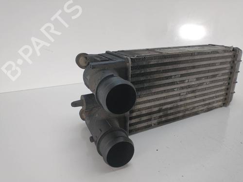 Intercooler PEUGEOT 508 I (8D_)  | BP8278422M30 