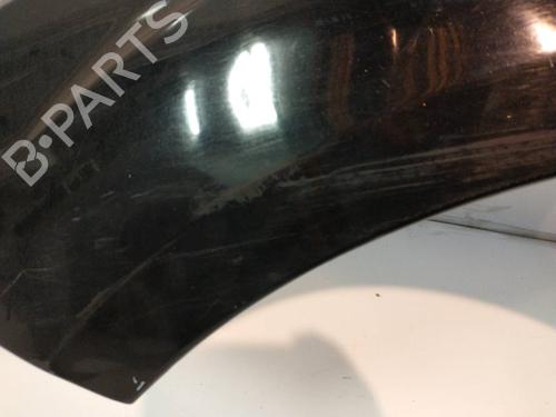 Left front fenders FORD FOCUS II (DA_, HCP, DP)  | BP16519571C41 