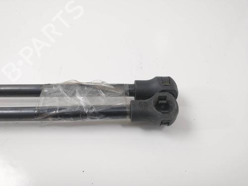 Hood lift support CITROËN C5 II (RC_)  | BP14157352C139 