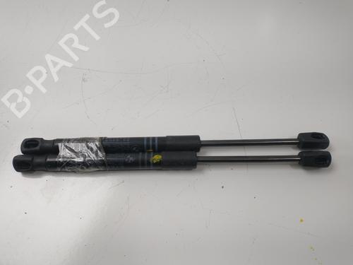 Used Tailgate lift support BMW X1 (E84) sDrive 16 d (116 hp) 14157332
