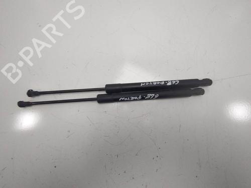 Gassdemper Bakluke VW GOLF V (1K1) 1.9 TDI (105 hp) 14157614