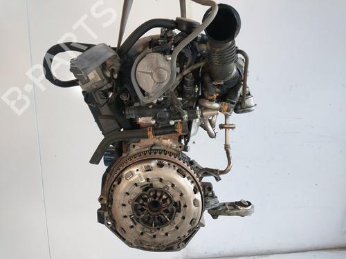 Engine RENAULT MEGANE II (BM0/1_, CM0/1_)  | BP23072676M1 