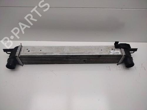 Intercooler FIAT FIORINO Box Body/MPV (225_) 1.3 D Multijet (225BXD1A, 225BXB1A, 225BXB11) | BP18120659M30 
