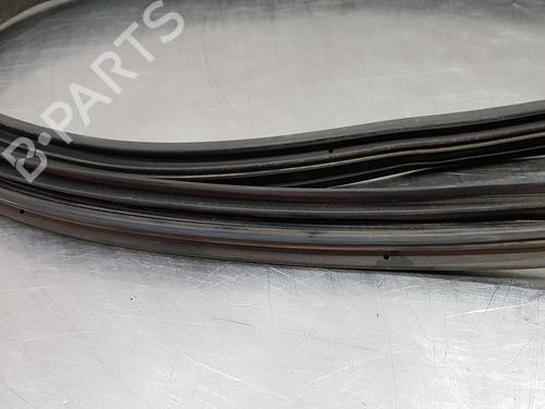 Rubber door seal DACIA LODGY (JS_) | BP30879182C142