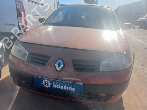 Glove box RENAULT MEGANE II (BM0/1_, CM0/1_)  | BP29422936C95 