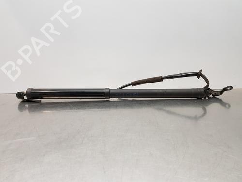 Used Tailgate lift support LEXUS NX (_Z1_) [2014-2025]  24120536