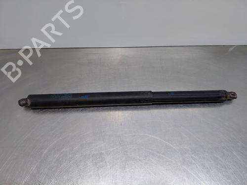 Tailgate lift support MERCEDES-BENZ GL-CLASS (X164) GL 450 4-matic (164.871) | BP31129955C138
