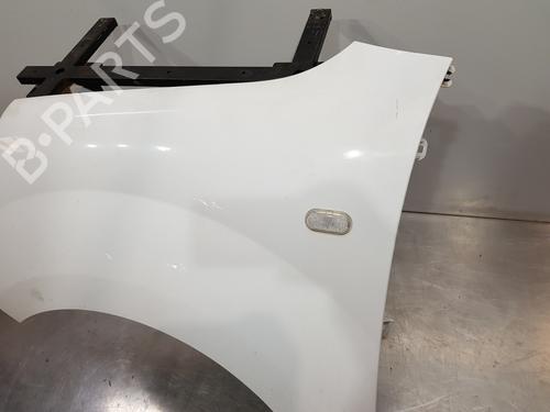 Left front fenders RENAULT KANGOO / GRAND KANGOO II (KW0/1_)  | BP29754121C41