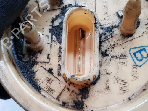 Fuel pump SEAT IBIZA IV (6J5, 6P1) | BP30878809M76