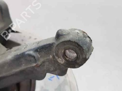 Left front steering knuckle FORD FOCUS II (DA_, HCP, DP)  | BP12230888M25 
