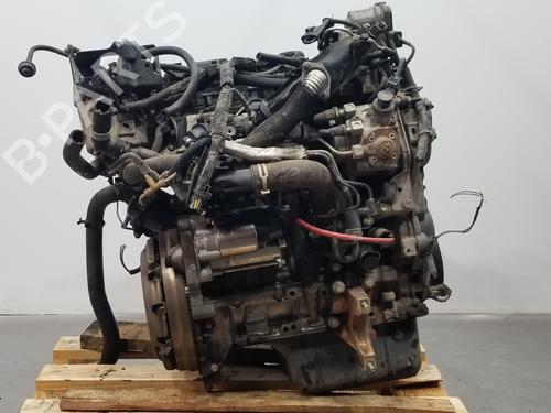 Used Engine FORD FIESTA VI (CB1, CCN) [2008-2017]  20694672