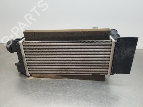 Intercooler HYUNDAI TUCSON (NX4E, NX4A) [2020-2025]  27719014