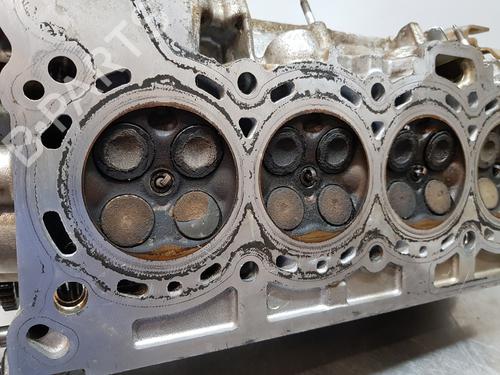 Cylinder head NISSAN JUKE (F15) | BP28193459M5