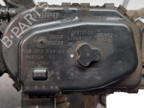 Egr PEUGEOT 308 SW II (LC_, LJ_, LR_, LX_, L4_) | BP16465615M69