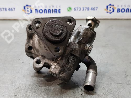 Stuurbekrachtiging pomp VW PHAETON (3D1, 3D2, 3D3, 3D4, 3D6, 3D7, 3D8, 3D9) [2002-2016]  7588562