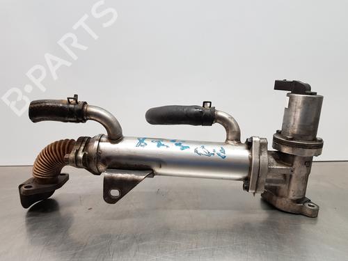 Egr KIA CARENS III MPV (UN) | BP30880013M69