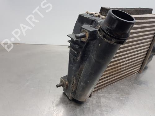 Intercooler NISSAN JUKE (F15)  | BP30054903M30 