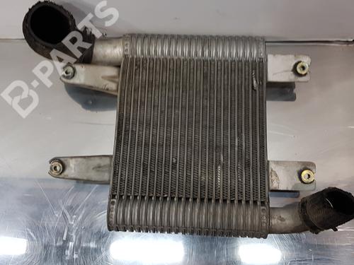 Intercooler HYUNDAI TERRACAN (HP) 2.9 CRDi (150 hp) 11540091