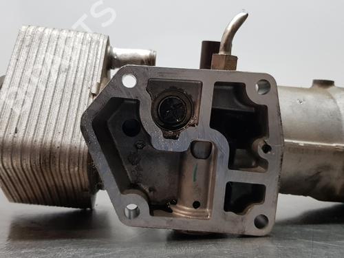 Support DODGE CALIBER | BP30878908C155