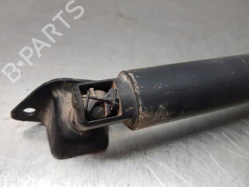 Tailgate lift support MERCEDES-BENZ M-CLASS (W166)  | BP29460436C138 