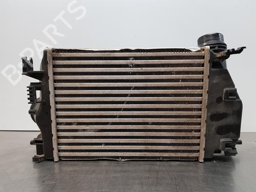 Used Intercooler RENAULT KADJAR (HA_, HL_) [2015-2025]  29130703
