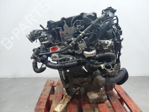 Used Engine FORD KUGA III (DFK) 1.5 EcoBlue (120 hp) 31291064