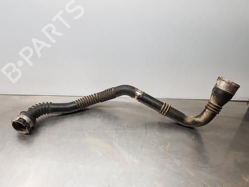 Tuyau RENAULT KANGOO / GRAND KANGOO II (KW0/1_) [2008-2025]  29814263